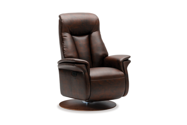 IMG Charleston Recliner (7)