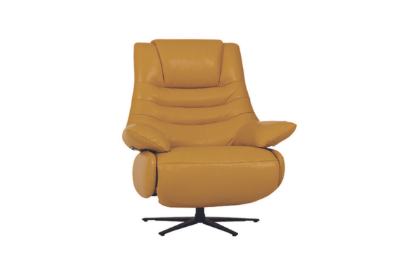 Rhemy Recliner Chair