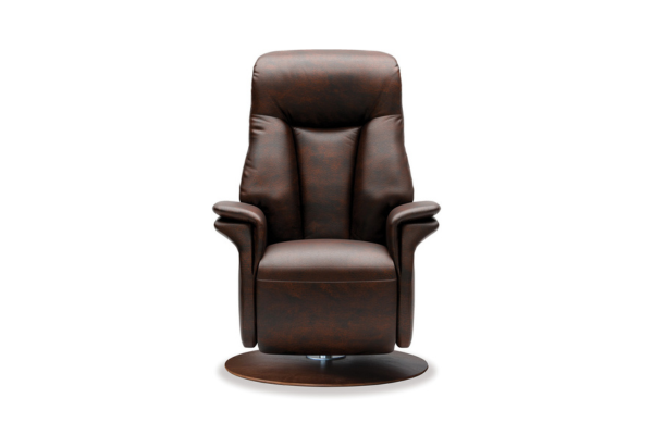 IMG Charleston Recliner (6)