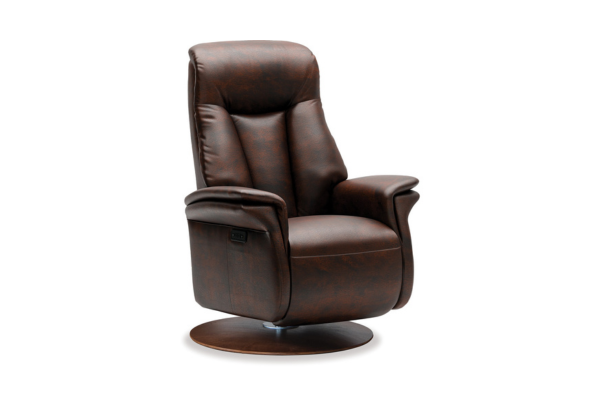IMG Charleston Recliner brown